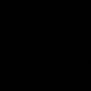 Meet your Posher, Phillip